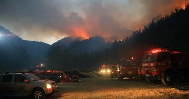 Muğla Büyükşehir: '4 bin 208 hektar alan zarar gördü'
