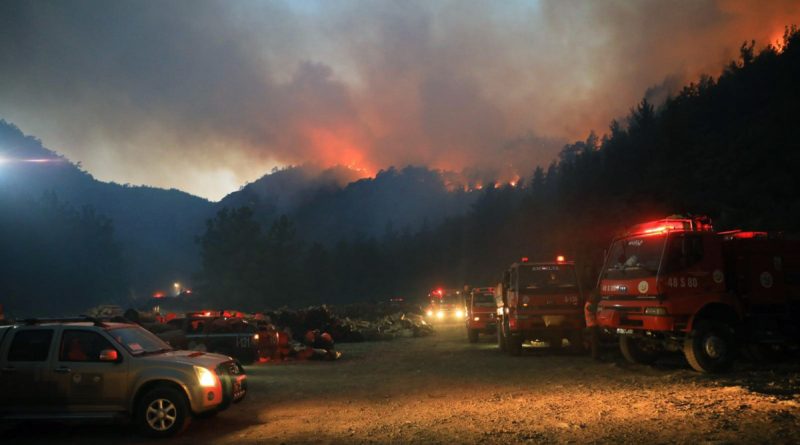 Muğla Büyükşehir: '4 bin 208 hektar alan zarar gördü'