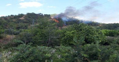 Muğla Dalaman'da orman yangını