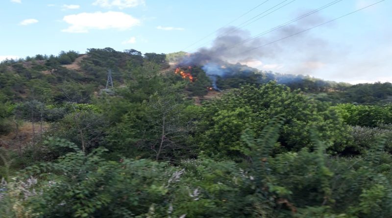 Muğla Dalaman'da orman yangını