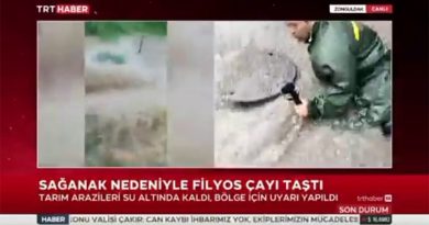 Muhabir canlı yayında rögara düştü