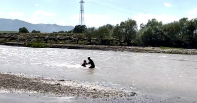 Murat Nehri’nde mahsur kalan çocuğun yardımına vatandaş yetişti