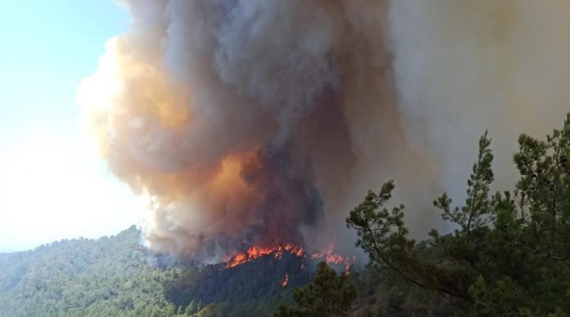 OGM'den Marmaris'te devam eden orman yangınına ilişkin son durum açıklaması
