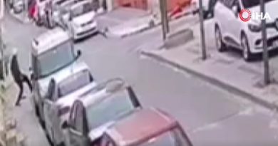 Önce tekmeyle alarmı kontrol etti, sonra aracı çaldı