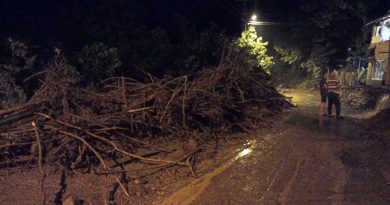 Ordu’da selden etkilenen 9 ev boşaltıldı