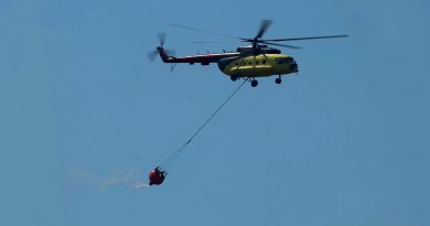 Orman Genel Müdürlüğü'nden açıklama