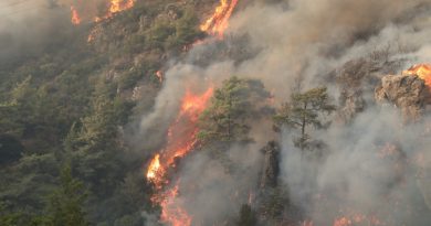 Orman yangınlarına karşı mücadele seferberliği