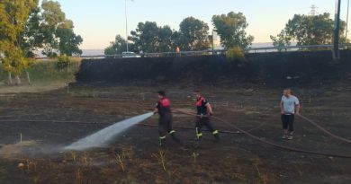 Otoban kenarındaki arazi yangını panikletti