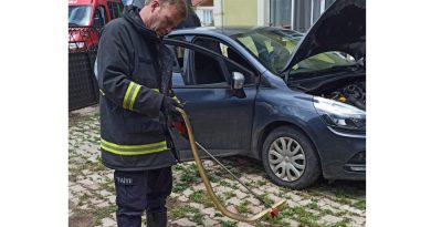 Otomobilin motoruna giren yılanı itfaiye çıkardı !