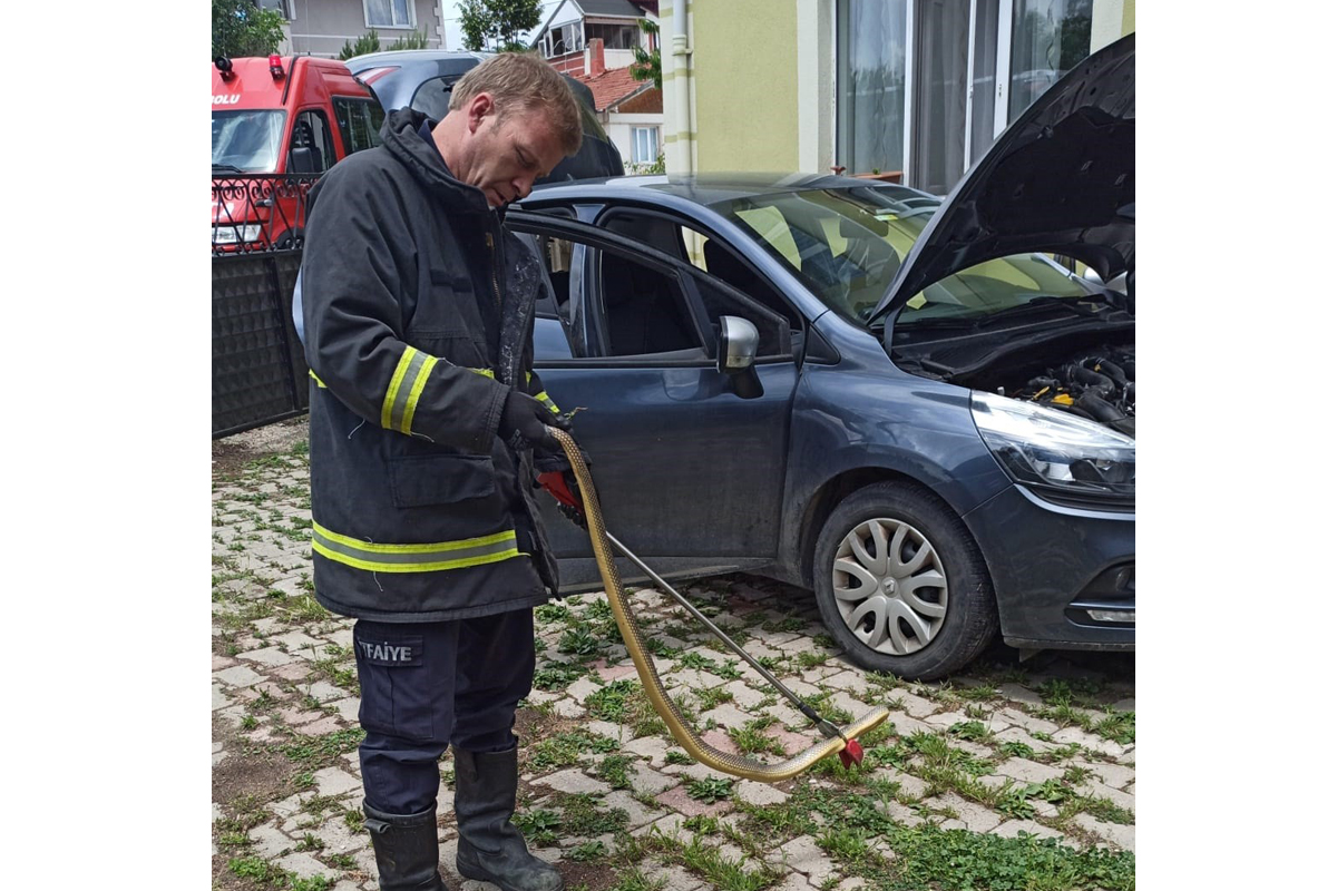 Otomobilin motoruna giren yılanı itfaiye çıkardı !