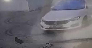 Otomobilini kedilerin üzerine sürüp, birini telef etti