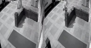 Pendik’te yaşlı kadınlar çiçekleri söke söke çaldılar