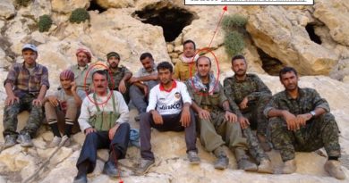 PKK terör örgütüne yönelik operasyon, 1 kişi tutuklandı