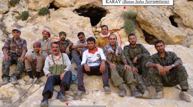 PKK terör örgütüne yönelik operasyon, 1 kişi tutuklandı