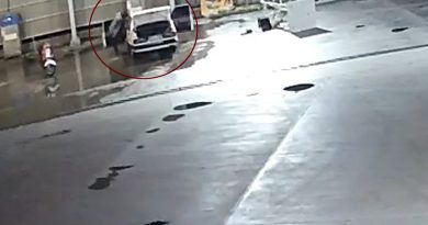 Sahibinin içinde uyuduğu araçtan cep telefonunu çalıp rahat tavırlarıyla pes dedirtti