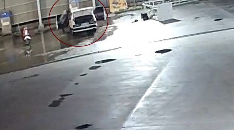 Sahibinin içinde uyuduğu araçtan cep telefonunu çalıp rahat tavırlarıyla pes dedirtti