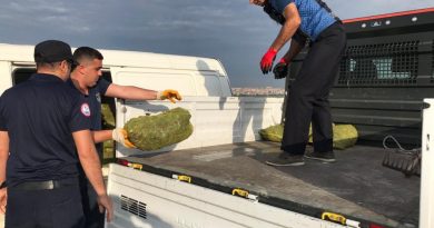 Sahil hatlarında kaçak avlanılan 1,5 ton kara midye ele geçirildi