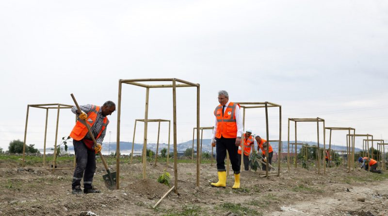 Sakarya’da ilk kez avokado fidanı toprakla buluştu