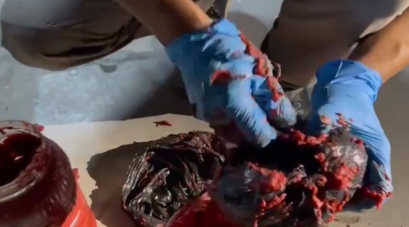 Salca bidonu içinde uyuşturucu sevkiyatı ‘Nina’dan kaçmadı: 2 gözaltı