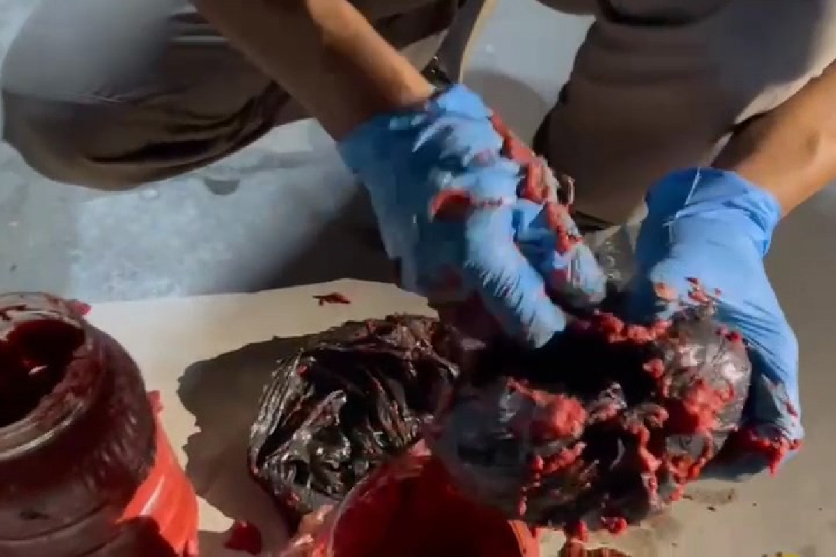 Salca bidonu içinde uyuşturucu sevkiyatı ‘Nina’dan kaçmadı: 2 gözaltı