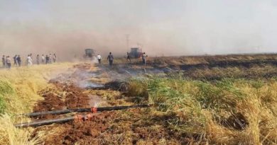 Şanlıurfa’da 80 dönüm buğday tarlası yandı