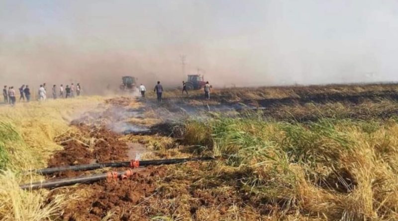 Şanlıurfa’da 80 dönüm buğday tarlası yandı