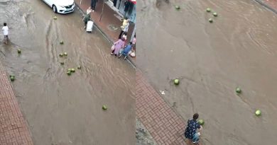 Selde sürüklenen karpuzları vatandaşlar kurtarmaya çalıştı
