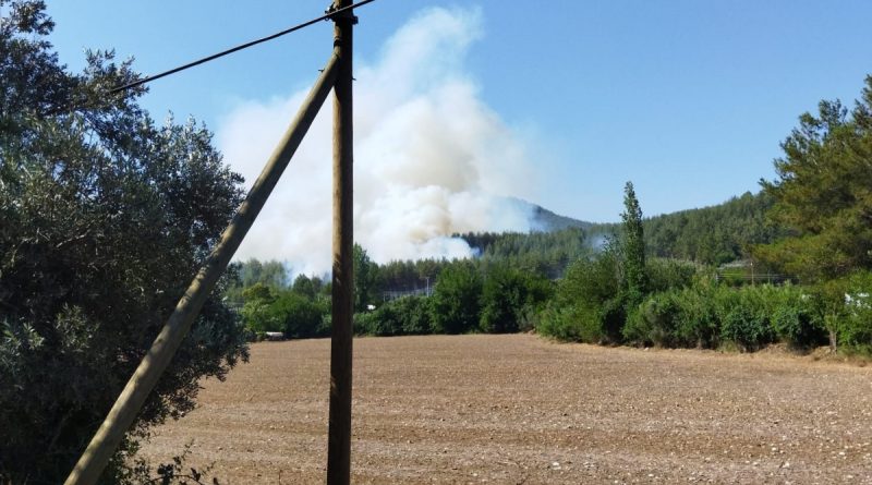 Seydikemer’de orman yangını çıktı