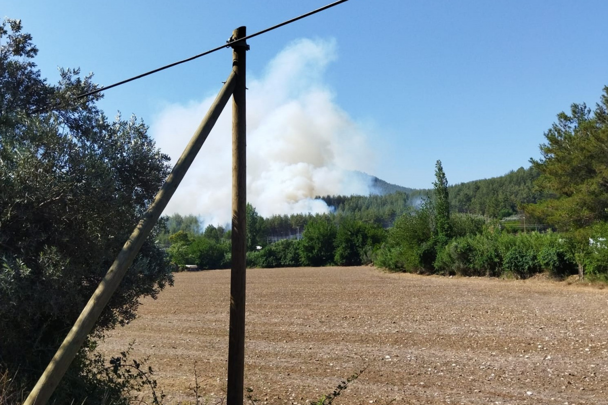 Seydikemer’de orman yangını çıktı