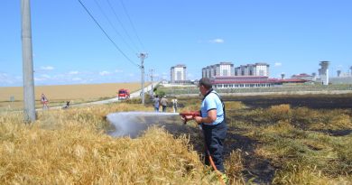 Sigara izmariti 50 dönüm buğdayı 10 dakikada küle çevirdi