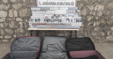 Şırnak’ta kaçakçılık ve asayiş operasyonu: 47 gözaltı