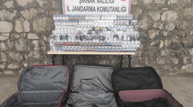 Şırnak’ta kaçakçılık ve asayiş operasyonu: 47 gözaltı