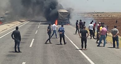 Şırnak’ta seyir halindeki tır alevlere teslim oldu