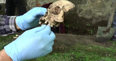 Su patlağı için yapılan kazıda ortaya çıkan kemik parçaları panik yaşattı