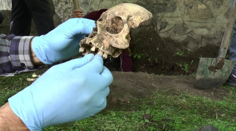 Su patlağı için yapılan kazıda ortaya çıkan kemik parçaları panik yaşattı