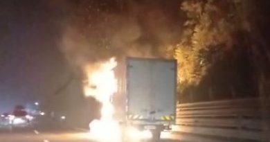 TEM’de seyir halindeki kamyonet alev alev yandı