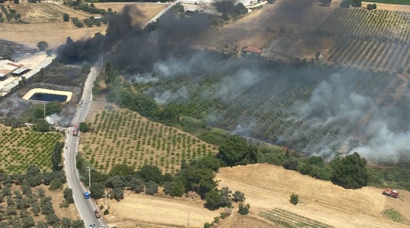 Torbalı'daki yangın kontrol altında