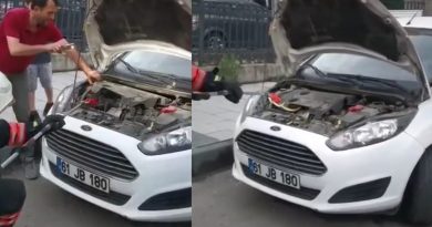 Trabzon’da bir otomobilin motor kısmına giren yılanı itfaiye çıkardı