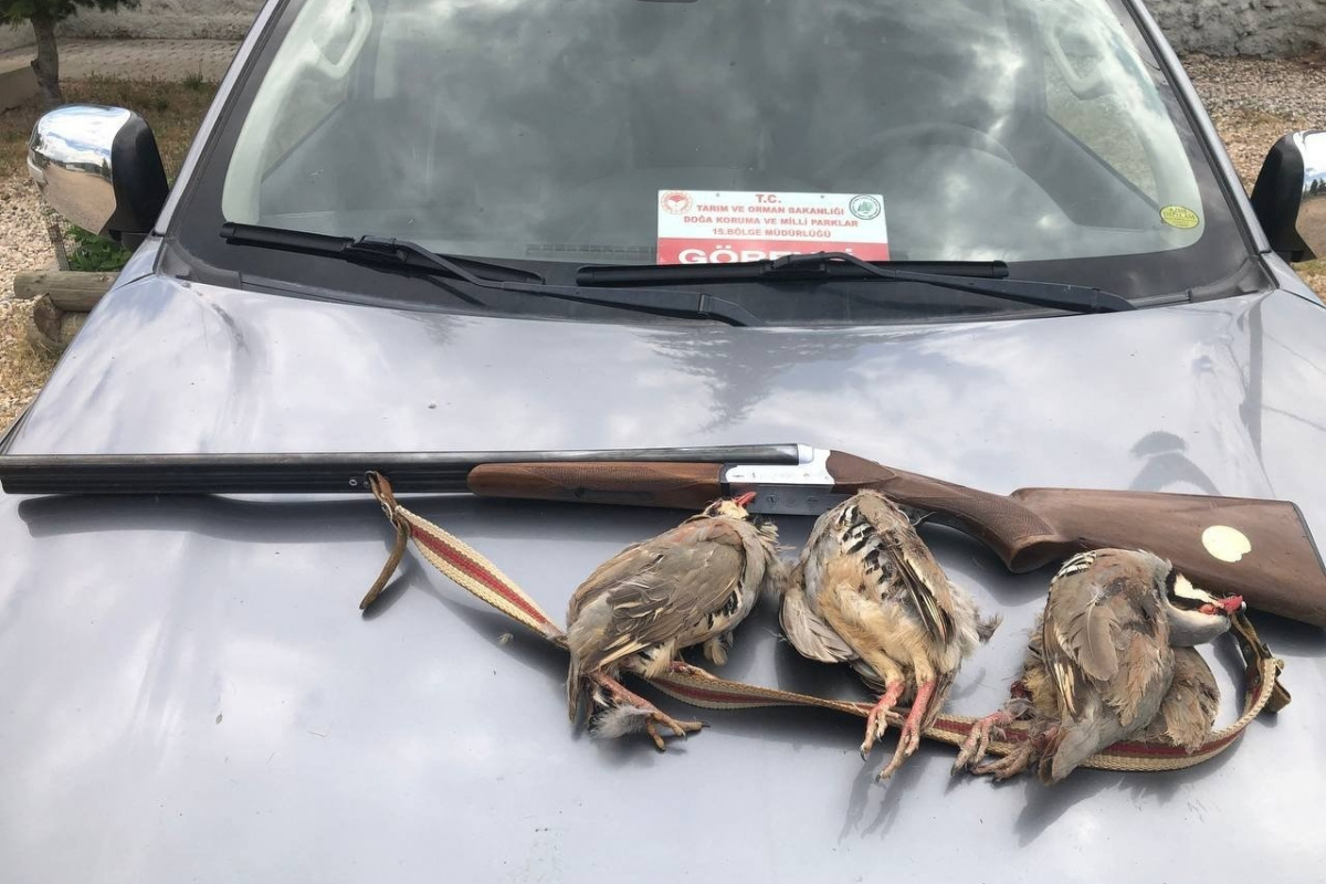 Tunceli’de kaçak avcıya ceza