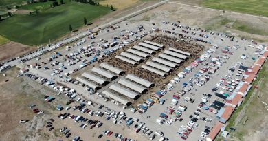 Türkiye’nin en büyük canlı hayvan pazarında kurban telaşı