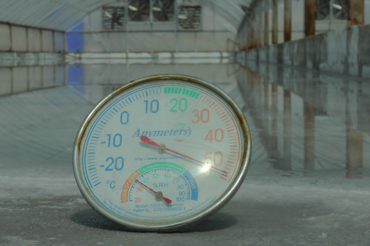 Ukrayna ‘tuz’ istiyor