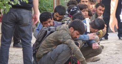 Van’da 20 düzensiz göçmen yakalandı