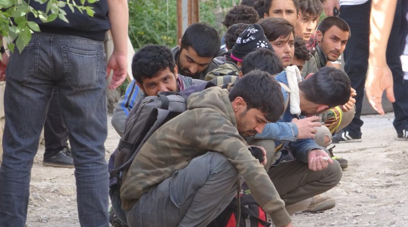 Van’da 20 düzensiz göçmen yakalandı