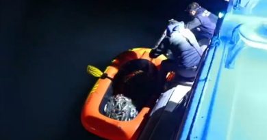 Van'da 350 kilo kaçak avlanmış inci kefali ele geçirildi