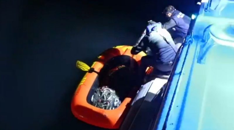 Van'da 350 kilo kaçak avlanmış inci kefali ele geçirildi