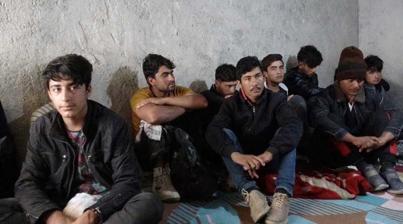 Van’da bir evin bodrumunda 24 düzensiz göçmen yakalandı