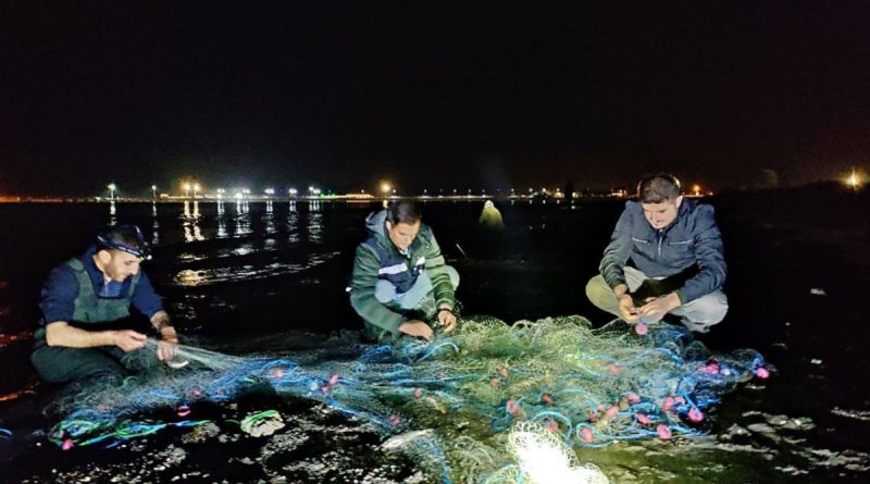 Van’da inci kefali operasyonu