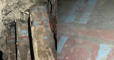 Van'da kaçak kazı yapan defineciler, 2 bin 700 yıllık bir yapıyı ortaya çıkardı