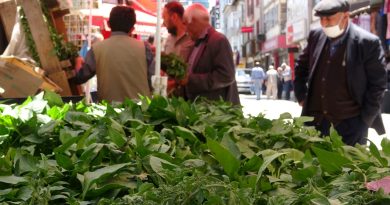 Van’da sebze fideleri yoğun talep görüyor