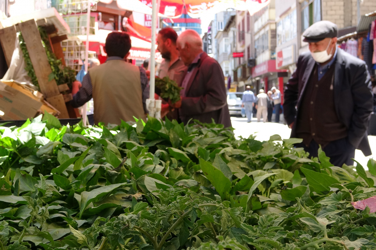 Van’da sebze fideleri yoğun talep görüyor